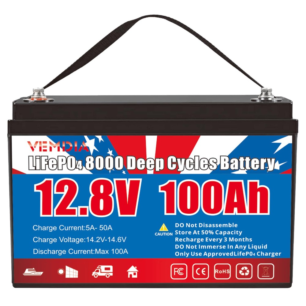 12.8V 100Ah LiFePO4 Battery Bu - Motorcycle Gear Cycle recensie en prijs